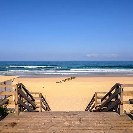 La Maddyblue 5 Min A Pieds De L'ocean Et Commerce * Mimizan-Plage