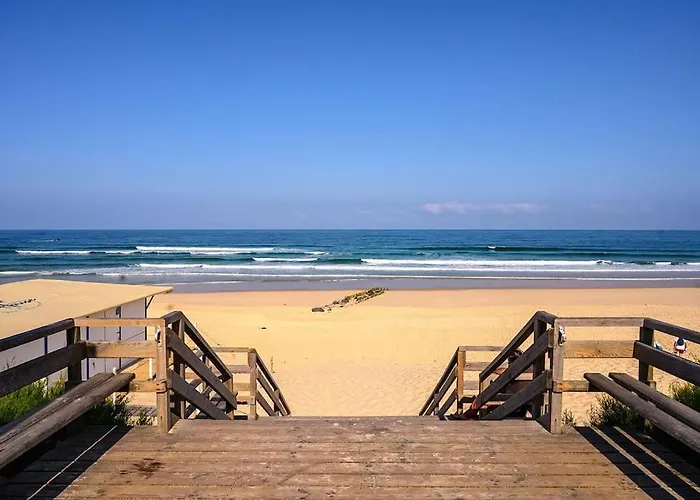 La Maddyblue 5 Min A Pieds De L'ocean Et Commerce * Mimizan-Plage